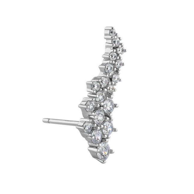 Sterling Silver Elegant Cluster Round Cut Clear CZ Earrings